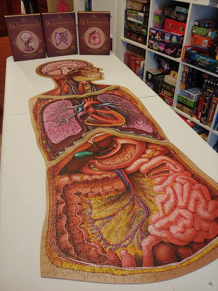 Dr. Livingston's Anatomy Jigsaw Puzzles, Life Science: Educational  Innovations, Inc.