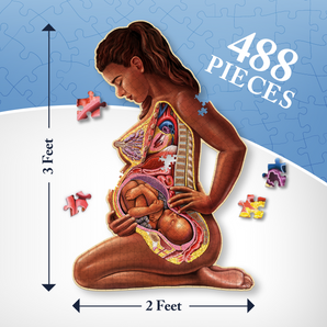 Pregnant Mother Anatomy Jigsaw Puzzle | 488-Piece Science Accurate Adult Puzzle | Educational and Entertaining 3ft x 2ft Poster Size Puzzle | Ideal Gift for Mothers, Educators & Medical Professionals