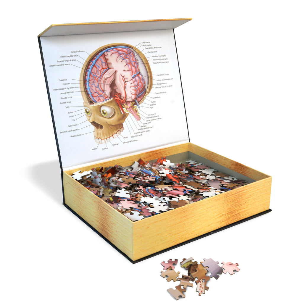  Genius Games Human Head Anatomy Puzzle - Adult Jigsaw Puzzles  Unique Gifts for Kids Educational Science - 441 Piece Teen Floor Puzzle -  Genius Games Dr. Livingston : Toys & Games
