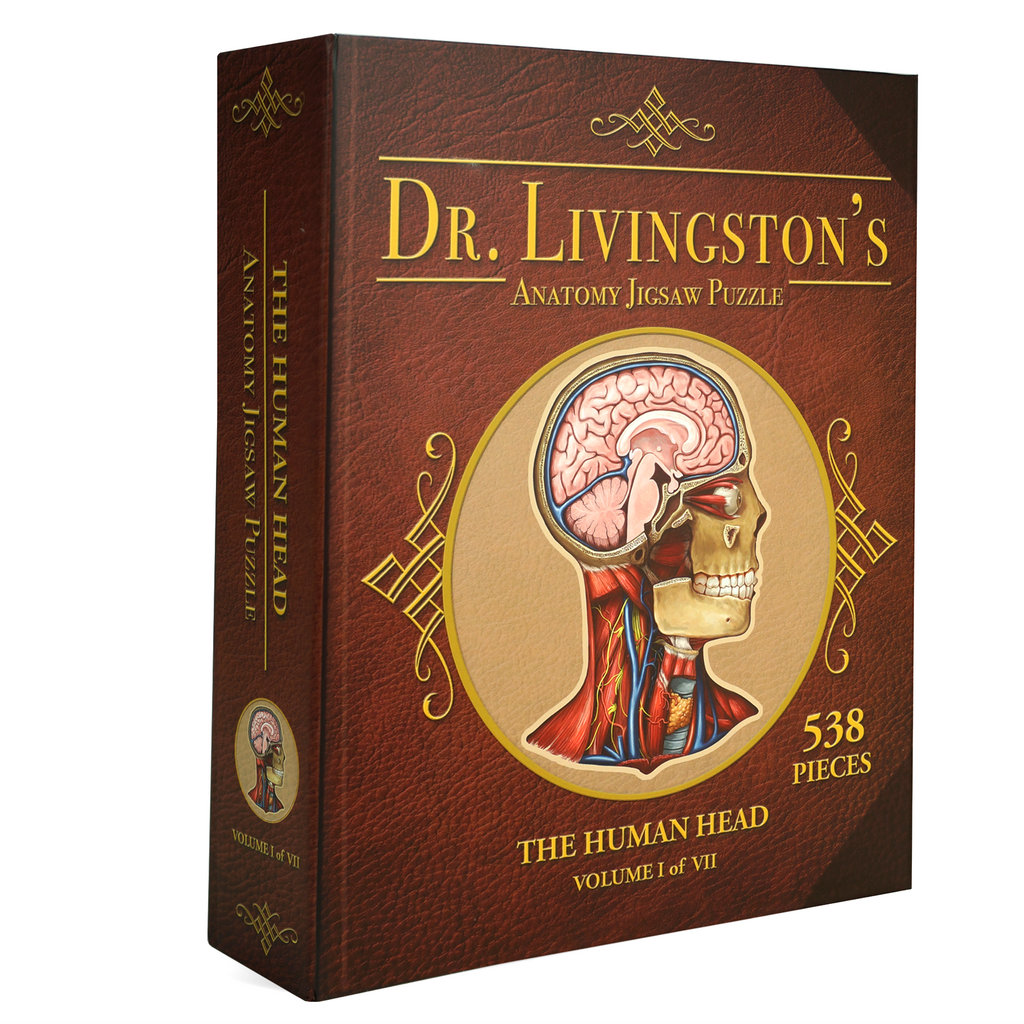  Genius Games Human Head Anatomy Puzzle - Adult Jigsaw Puzzles  Unique Gifts for Kids Educational Science - 441 Piece Teen Floor Puzzle -  Genius Games Dr. Livingston : Toys & Games